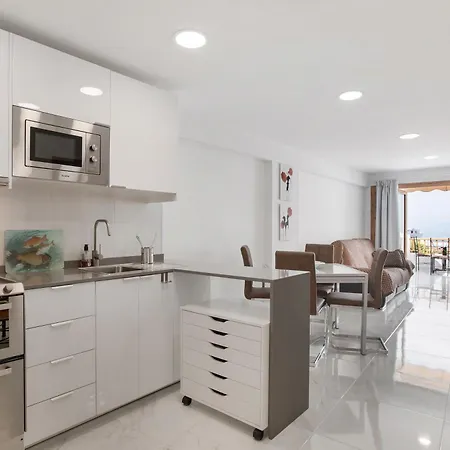 Apartment Geranios 407